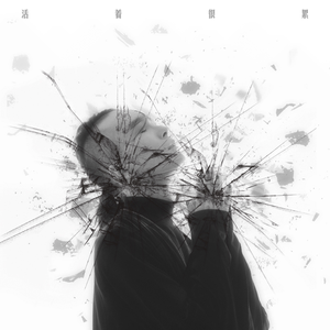 野猫最新二十四小时有效
