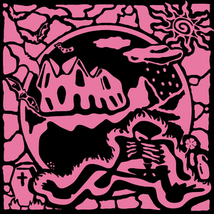 野猫最新二十四小时有效
