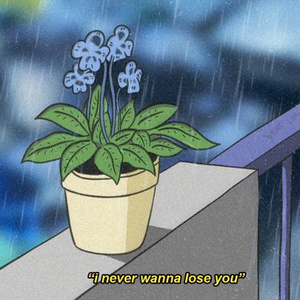 野猫最新二十四小时有效
