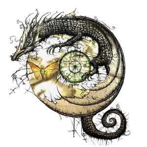 野猫最新二十四小时有效
