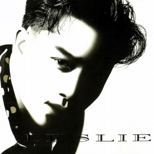 野猫最新二十四小时有效
