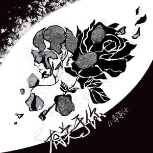 野猫最新二十四小时有效
