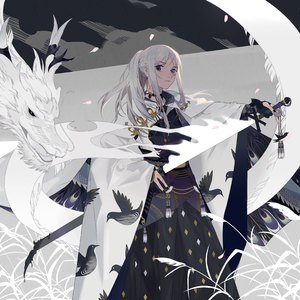 野猫最新二十四小时有效
